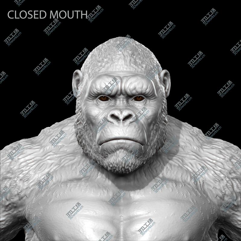images/goods_img/202104021/3D King Kong/2.jpg